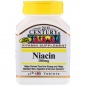  21st Century Niacin 100  110 